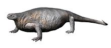 Life restoration of C. romeri Cotylorhynchus NT small.jpg