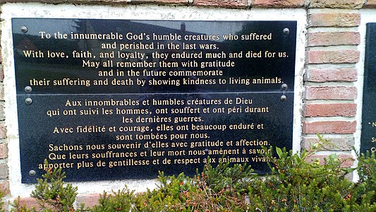 Plaques en mémoire des animaux de guerre à Couin dans le Pas-de-Calais.