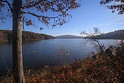 Rada Bluff Lake (30843828965) .jpg