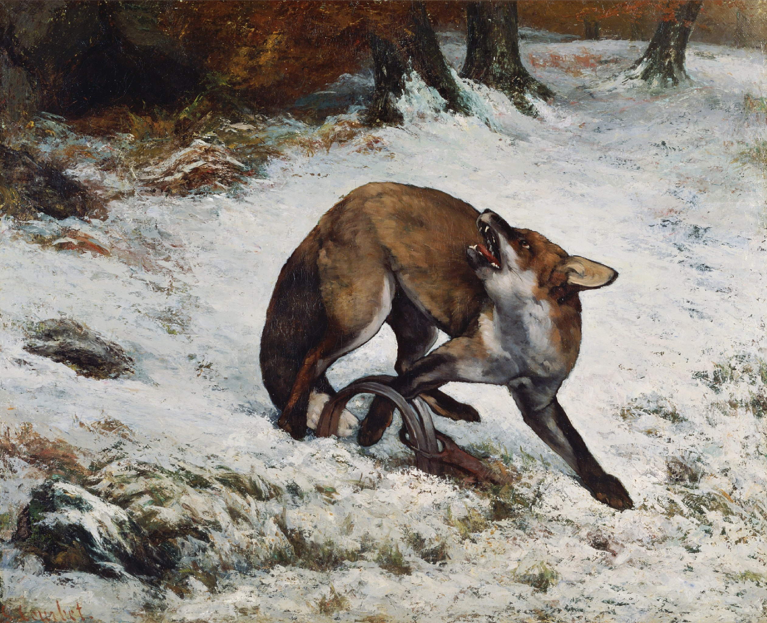 File:Courbet Fox Caught in a  - Wikimedia Commons