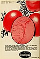 Cranberries; - the national cranberry magazine (1965) (20517237010).jpg
