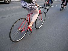 Portaequipajes (bicicleta) - Wikiwand