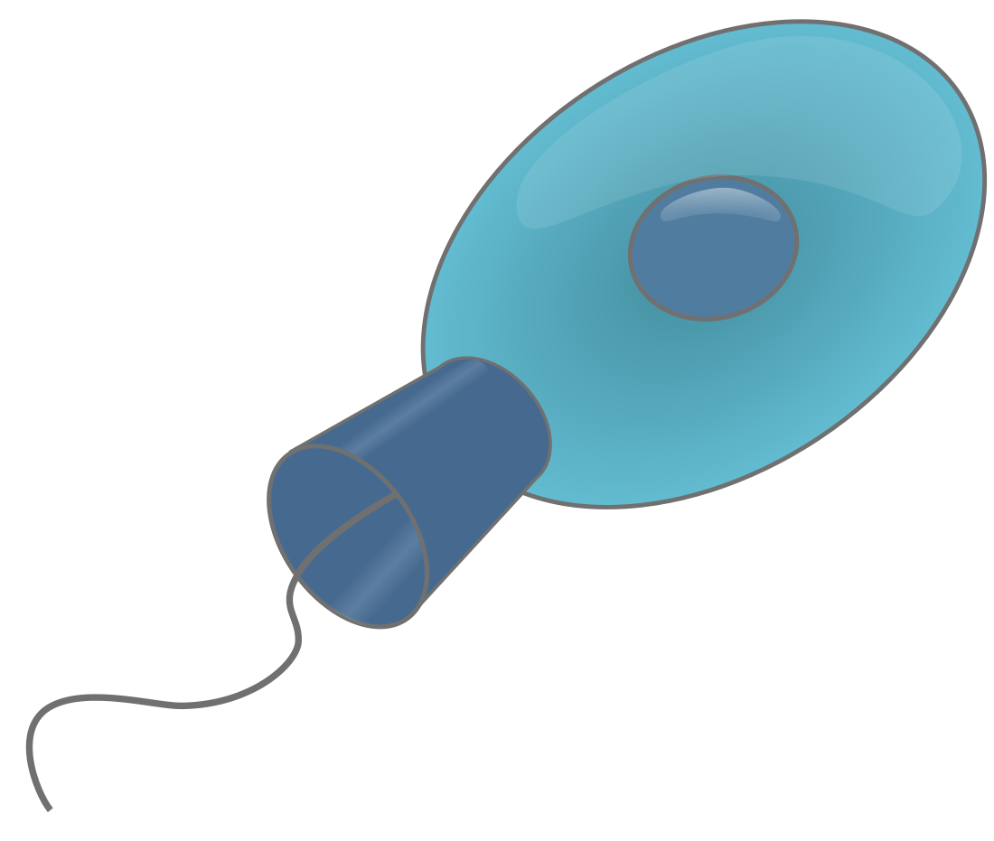 Choanoflagellatea