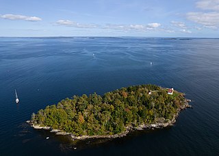 <span class="mw-page-title-main">Curtis Island (Maine)</span> Island in Camden Harbour, Camden, Maine