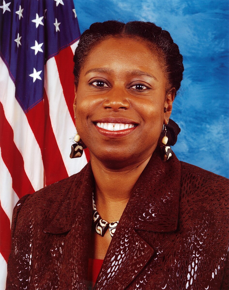 Cynthia McKinney presidential campaign, 2008