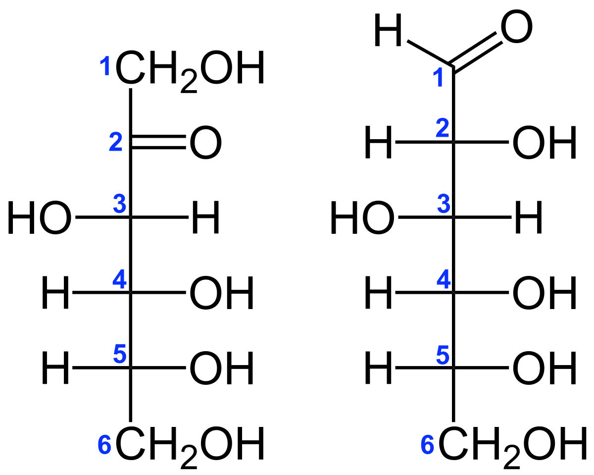 fructose molecule diagram