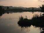 Mindelsee (Vogelschutzgebiet)