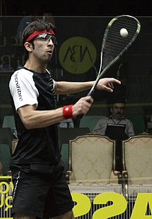 Atlas danés Khan (7543477688) .jpg