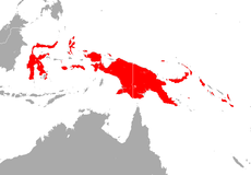 Dark Sheath-tailed Bat area.png