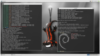 Debian Linux-based GNU variant from the Debian project