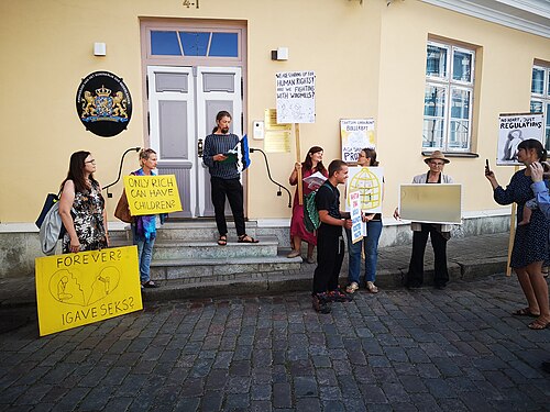 Demonstration for Elisabeth and Anju in front of Netherlands' embassy in Tallinn