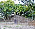 2021年11月24日 (水) 08:26時点における版のサムネイル