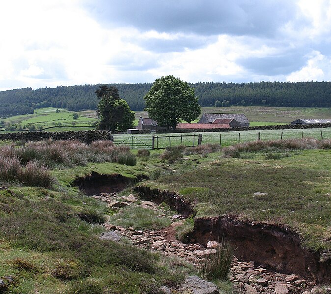 File:Dried up beck at Potter House Farm - geograph.org.uk - 2977004.jpg