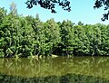 Čeština: Rybník u zámečku Dvojhradí na severním okraji Mstišova, části města Dubí English: Small pond by Dvojhradí castle in Mstišov, part of Dubí town, Czech Republic