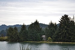 Photograph of the Benedict House, a dilapidated, wooden structure mostly hidden by trees, viewed across a channel of water