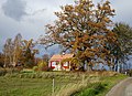 Miniatyrbild för versionen från den 22 oktober 2019 kl. 16.14