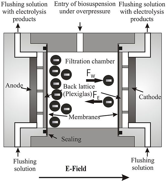 File:Electrofiltration chamber.jpg