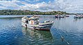 * Nomination Boat in the Dalcahue canal. --Rjcastillo 02:30, 28 February 2024 (UTC) * Promotion  Support Good quality. --JoachimKohler-HB 03:08, 28 February 2024 (UTC) The scene shows several boats. The summary should indicate the type of boats, and the name and IMO number of any prominent boat. --Tagooty 03:11, 28 February 2024 (UTC) Comment Thanks for the review. I Add that they are Fishing boats of Chile, I am not an expert, and with respect to IMO number, they are the ones you see, the others I don't know. --Rjcastillo 00:21, 29 February 2024 (UTC)  Support Good quality. --Tagooty 01:29, 1 March 2024 (UTC)