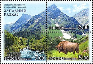Żubry na znaczek Rosja Zachód Kaukazu 2006.jpg