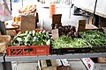 Farmer's Market in downtown Roanoke, Virginia (49459803423).jpg