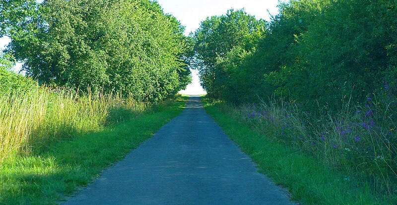 File:Feldweg bei Staufenberg.jpg