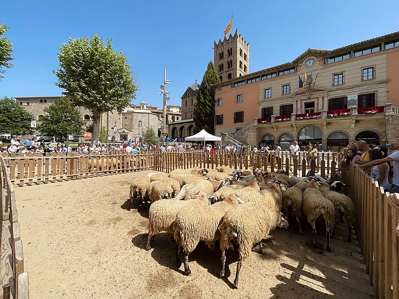 File:Festa Nacional de la Llana i Casament a Pagès.jpg