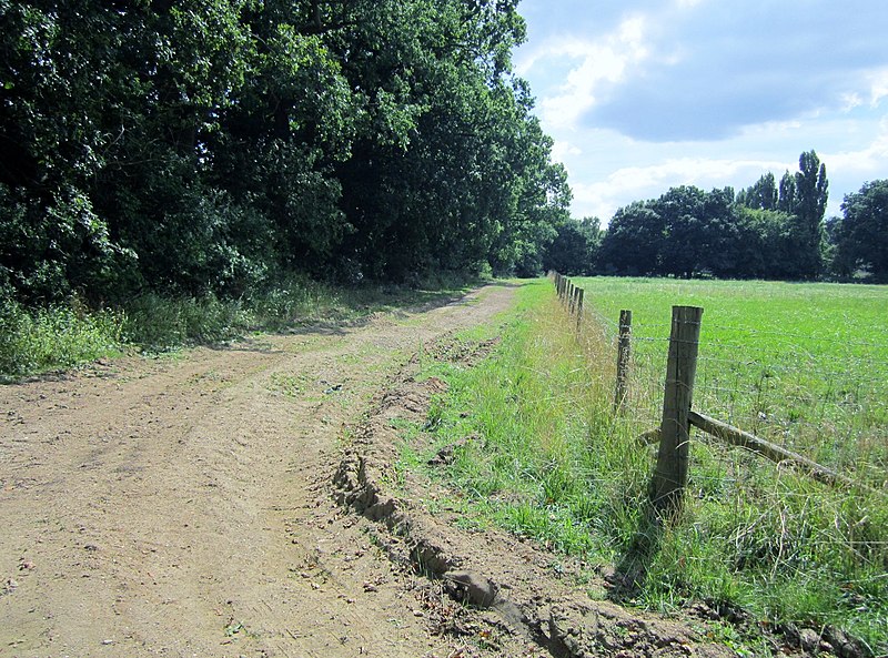 File:Field Boundary - geograph.org.uk - 3788759.jpg