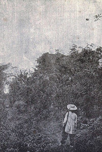 File:Filipino sentry on duty, 1899.jpg