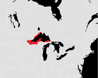 <span class="mw-page-title-main">Findians</span> People of mixed Finnish American or Finnish Canadian and Indigenous peoples of North America descent