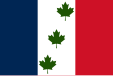 Flag of Saint-Éphrem-de-Beauce, Quebec, Canada