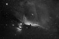 Flame Nebula and Horsehead Nebula - Filter Baader 7nm H-alpha.jpg