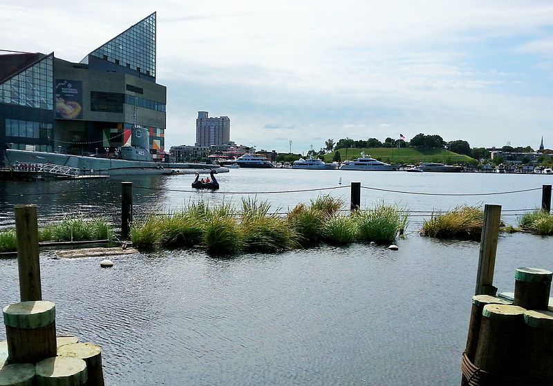 File:Floating Wetlands @ WTC.jpg