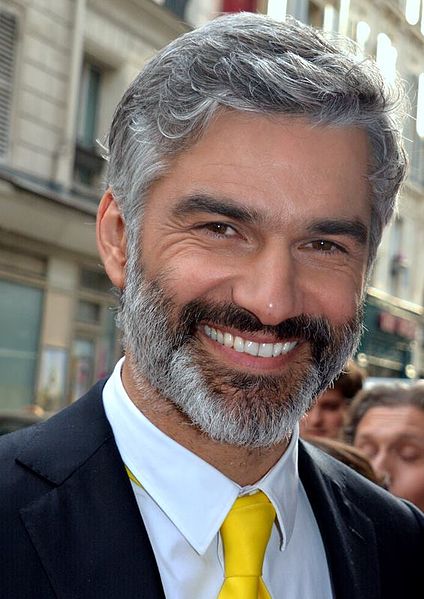 File:François Vincentelli 2015.jpg