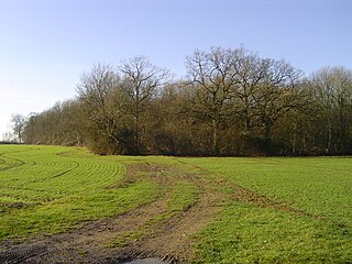<span class="mw-page-title-main">Frithy and Chadacre Woods</span>