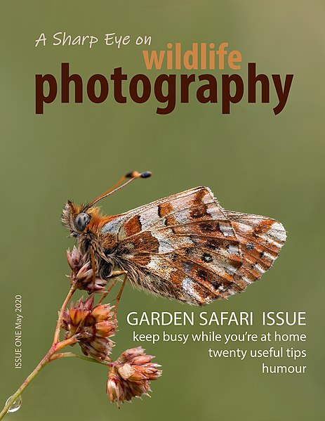 File:Front cover of A Sharp Eye on wildlife photography - Issue One.jpg