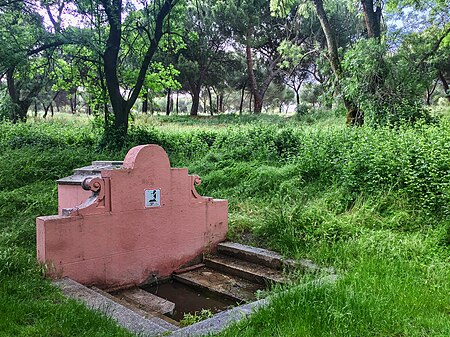 Fuente del Zarzón 1