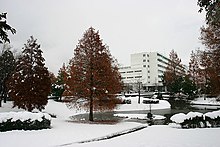 Gifu University Faculty of Engineering