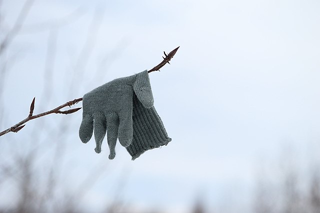 Gant gris posé sur une branche.