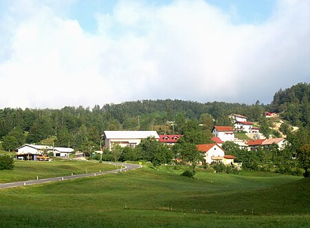 Gozd Ajdovščina Slovenia 3