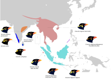 répartition des espèces.