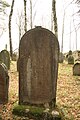 Čeština: Hroby na židovském hřbitově v Dřevíkově, okr. Chrudim. English: Gravestones at Jewish Cemetery in Dřevíkov, Chrudim District.