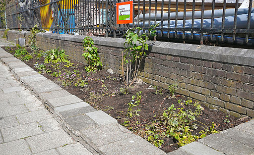 Guerillagardeners