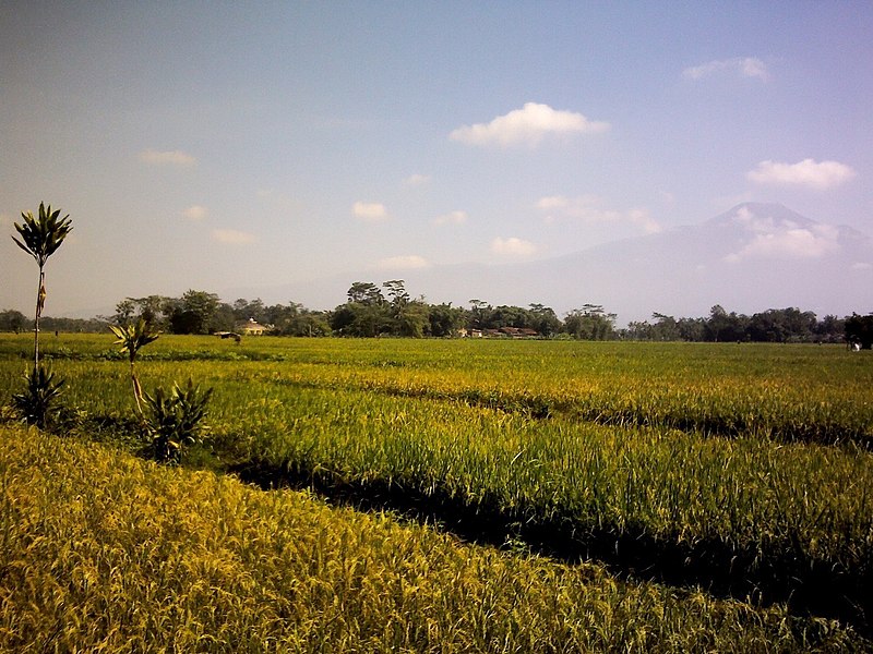 File:Gunung Slamet dengan Arakan Awan Indah (Jompo Kulon).jpg