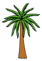 A palmeira é um símbolo do território e do Oceano Índico