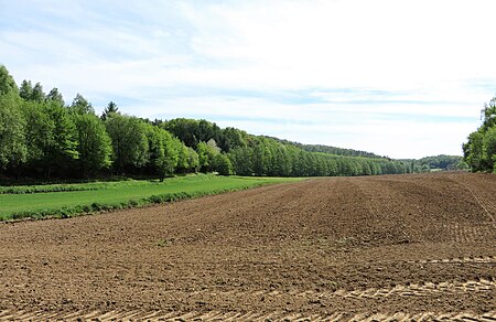 Hagen NSG Lange Bäume