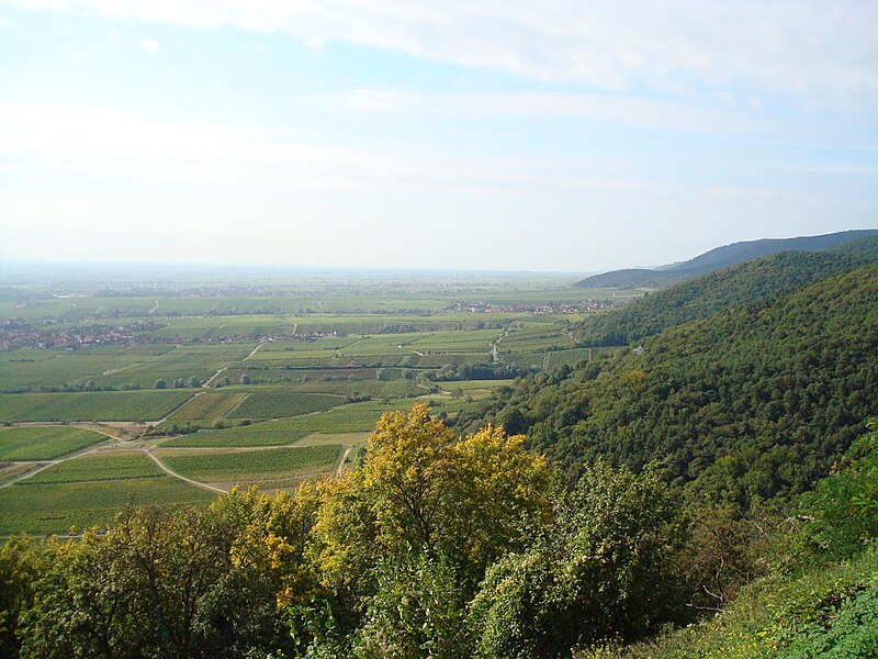 File:Hambacher Schloss, Blick nach Süden.jpg