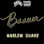 תמונה ממוזערת עבור Harlem Shake (שיר)