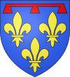 Blason de Henri, duc d'Anjou