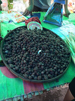 Astraeus asiaticus in a market in Thailand