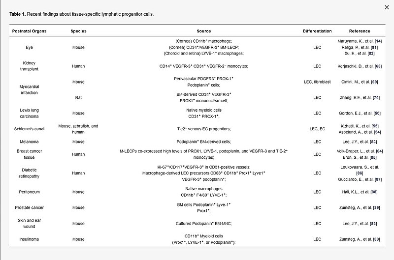 File:Human embryo Recent findings about tissue-specific lymphatic progenitor cells..jpg